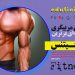 مربیگری فیتنس 1